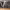 https://res.cloudinary.com/billionhands/image/upload/v1774877951/items/gr9tdpeetjs6jlapa6bo.webp-0cover