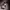 https://res.cloudinary.com/billionhands/image/upload/v1774878023/items/dxxp5nkzmkhckjxfgfvi.jpg-0cover