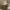 https://res.cloudinary.com/billionhands/image/upload/v1774878046/items/rrnoecfwq4jcicd7y1wn.jpg-1cover