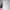 https://res.cloudinary.com/billionhands/image/upload/v1774878052/items/dp5nwucjzdy0xp9rsdvt.avif-2cover