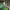 https://res.cloudinary.com/billionhands/image/upload/v1774878060/items/lbqdxwpb9vsviihosnmo.jpg-3cover