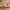https://res.cloudinary.com/billionhands/image/upload/v1774878063/items/qyh4wldfdeusbdrlccmu.png-3cover