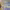 https://res.cloudinary.com/billionhands/image/upload/v1774878096/items/jmr07gqekoviarveqvzs.jpg-0cover