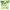 https://res.cloudinary.com/billionhands/image/upload/v1774878372/items/twoxk6mv46lxxbx28ygo.jpg-0cover