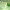 https://res.cloudinary.com/billionhands/image/upload/v1774878499/items/iektooce1o1ue9fc1d7o.jpg-1cover