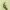 https://res.cloudinary.com/billionhands/image/upload/v1774878500/items/w8pczsftnl0gcknduok3.jpg-2cover