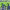https://res.cloudinary.com/billionhands/image/upload/v1774878544/items/rvknhhwv3btuvuyhwvsr.jpg-0cover