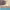 https://res.cloudinary.com/billionhands/image/upload/v1774878544/items/tzbxrkanrklgadlpcuzy.jpg-0cover