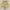 https://res.cloudinary.com/billionhands/image/upload/v1774878547/items/llzjjw7npg7cbfekgfng.jpg-2cover