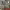 https://res.cloudinary.com/billionhands/image/upload/v1774878740/items/z7ekdf7wqkbbceoayqx0.webp-3cover
