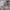 https://res.cloudinary.com/billionhands/image/upload/v1774878768/items/thxb2eqwp0qv2laugs0y.jpg-2cover