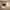 https://res.cloudinary.com/billionhands/image/upload/v1774878769/items/qe6vbxidnouwx74eodng.jpg-1cover
