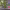 https://res.cloudinary.com/billionhands/image/upload/v1774878993/items/wnutm6b562wsyov9ijqn.jpg-2cover