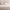 https://res.cloudinary.com/billionhands/image/upload/v1774879217/items/f1dx2tqu7mmsx4dd757e.jpg-2cover