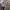 https://res.cloudinary.com/billionhands/image/upload/v1774879324/items/akxclxefalgqtpegyaqc.jpg-2cover