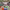 https://res.cloudinary.com/billionhands/image/upload/v1774879335/items/czclmhndht3krkzn8hsr.jpg-3cover