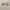 https://res.cloudinary.com/billionhands/image/upload/v1774879406/items/io7lakv4kxrfynoox0gi.webp-3cover