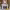 https://res.cloudinary.com/billionhands/image/upload/v1774879409/items/n1iudi29fzagzudwouio.webp-3cover