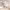 https://res.cloudinary.com/billionhands/image/upload/v1774879680/items/yzum546fvwfqtwe8pj5k.webp-3cover