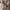 https://res.cloudinary.com/billionhands/image/upload/v1774879722/items/zeszm2bnedeurw7luwbn.jpg-2cover