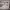 https://res.cloudinary.com/billionhands/image/upload/v1774879726/items/dsw8mzowohcwj6nmxouw.jpg-3cover