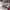 https://res.cloudinary.com/billionhands/image/upload/v1774879732/items/ztfad5pzggdtt75btfpg.jpg-2cover