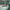 https://res.cloudinary.com/billionhands/image/upload/v1774879797/items/vmljtnqnmmegrcneagjh.webp-3cover