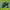 https://res.cloudinary.com/billionhands/image/upload/v1774879804/items/n0e2db4ntpkuixacokya.jpg-1cover