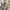 https://res.cloudinary.com/billionhands/image/upload/v1774879819/items/blllbbiwygae6qjovs9q.jpg-3cover