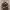 https://res.cloudinary.com/billionhands/image/upload/v1774879860/items/woeqc3te8ub643lxvxqu.webp-0cover