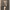 https://res.cloudinary.com/billionhands/image/upload/v1774879862/items/x6htss3lmdlulz9ssplm.webp-2cover