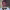 https://res.cloudinary.com/billionhands/image/upload/v1774879905/items/rdxavoup3ozkj4hhkrxt.jpg-3cover