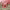https://res.cloudinary.com/billionhands/image/upload/v1774880097/items/r1vt7cil8wr78a6frjzw.jpg-0cover