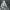 https://res.cloudinary.com/billionhands/image/upload/v1774880159/items/zvihbohx4jfnzzpagsla.jpg-0cover
