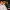 https://res.cloudinary.com/billionhands/image/upload/v1774880178/items/neryiu5uh4dbltphcwhs.jpg-0cover