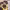 https://res.cloudinary.com/billionhands/image/upload/v1774880333/items/kyupsyogonfn5ssbqg1n.jpg-2cover