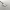 https://res.cloudinary.com/billionhands/image/upload/v1774880382/items/id7bqggrdhfpswpebeep.webp-0cover