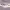 https://res.cloudinary.com/billionhands/image/upload/v1774880390/items/xudrulga67f5diii1rv3.webp-2cover