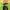 https://res.cloudinary.com/billionhands/image/upload/v1774880414/items/ipg9qdgvpaf3dgcvlqwd.jpg-2cover