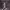 https://res.cloudinary.com/billionhands/image/upload/v1774880482/items/nwhtzigpnzohphtagsly.webp-1cover