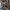 https://res.cloudinary.com/billionhands/image/upload/v1774880520/items/mjqlnurdb5bxyn6kdjbs.webp-0cover