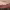 https://res.cloudinary.com/billionhands/image/upload/v1774880528/items/vkwrhubosfot1iijl8ej.jpg-3cover
