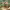 https://res.cloudinary.com/billionhands/image/upload/v1774880667/items/zr50ktz8xwnun8kwlqxy.webp-1cover