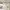 https://res.cloudinary.com/billionhands/image/upload/v1774880669/items/xvyglttjocu800fbgep6.webp-3cover
