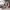 https://res.cloudinary.com/billionhands/image/upload/v1774880692/items/bn6oa26diwygwy5higje.jpg-1cover