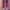 https://res.cloudinary.com/billionhands/image/upload/v1774880743/items/sazvbgn6h2nvgfkknnkn.webp-2cover