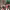 https://res.cloudinary.com/billionhands/image/upload/v1774880767/items/ryiny7d41s1w4jrtzubl.jpg-1cover