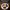 https://res.cloudinary.com/billionhands/image/upload/v1774880831/items/fdrcu5zqblkatpvhpqkm.webp-1cover