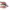 https://res.cloudinary.com/billionhands/image/upload/v1774880841/items/uvxsarpxggcrogxz2jvc.webp-3cover
