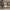 https://res.cloudinary.com/billionhands/image/upload/v1774880971/items/xidxbwuz2teytccdkwn8.avif-1cover